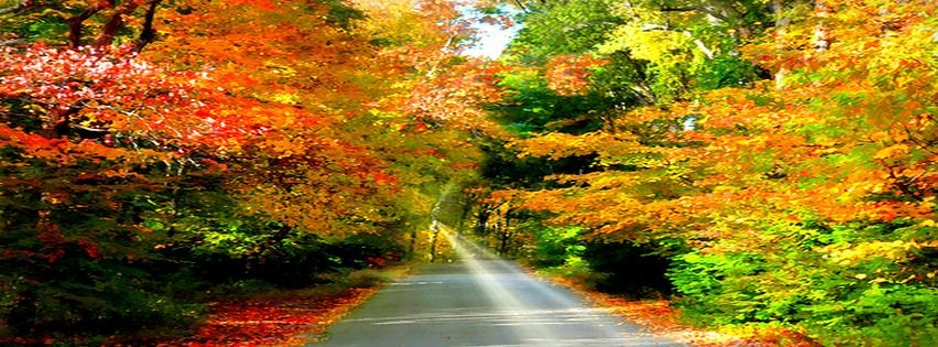 Beautiful Fall Colors Fb Timeline Cover Facebook Covers - myFBCovers
